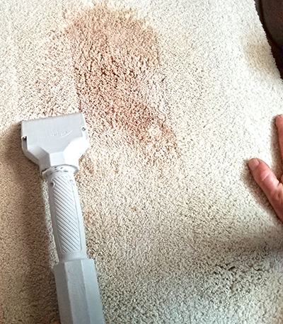 carpet cleaning montgomery county bucks county doylestown lansdale pa philadelphia